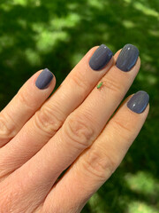 A close-up of a hand with purple nails holding a small insect on one of the fingers. The background is blurred greenery, making the tiny insect the main focus of the image