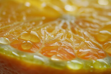 Macro texture of citrus fruit slice