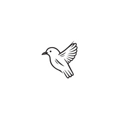 Seagul bird logo icon vector