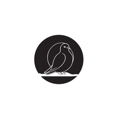 Seagul bird logo icon vector
