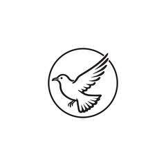 Seagul bird logo icon vector