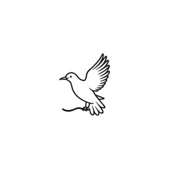 Seagul bird logo icon vector