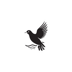 Seagul bird logo icon vector