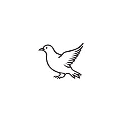 Seagul bird logo icon vector