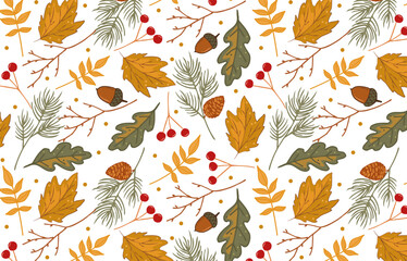 Background with autumn leaves, fir branches and berries hand-drawn, vector autumn background, beautiful seamless pattern for packaging and postcards, printing on paper and fabric © Natalya