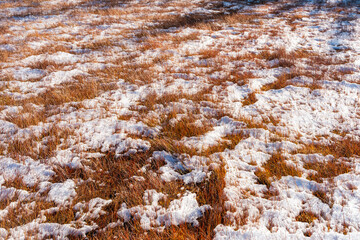 Marshland from the northern part of the Svartdalstjerna Forest Reserve of the Totenåsen Hills, Norway, in fall.