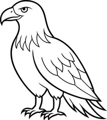 An Eagle outline vector and line art illustration design. Flying Birds like Silhouette. American eagle wild bird of prey soaring. Falcon or hawk carnivore avian animal.