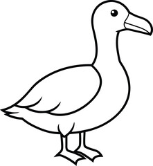 Albatross Bird Outline Vector Illustration - Cartoon, Line Art Design. Albatross line drawing vector and line art design. Bird gull vector icon.