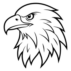 american bald eagle