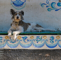 Fototapety na wymiar - Fototapeta24.pl