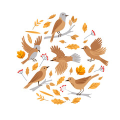 Forest birds vector illustration. Set of birds and autumn leaves circle shape. Сute vector greeting card white background.