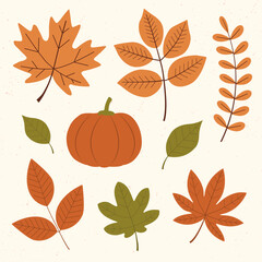Colorful Autumn leaves set, Autumn design element, Autumn Leaves Flat illustration