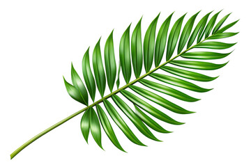 Fototapeta premium Tropical leaf isolated. 