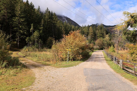 Blick auf die herbstlichen W&auml;lder bei Scharnitz in Tirol