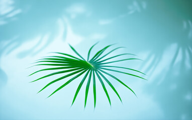 Obraz premium Tropical palm leaves floating on the water surface. Sun glare. Tropical background.