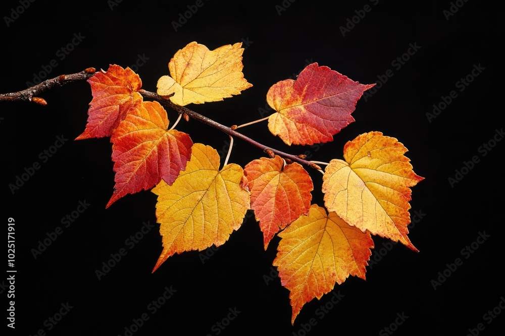 Aufkleber A detailed view of a single leaf on a tree branch