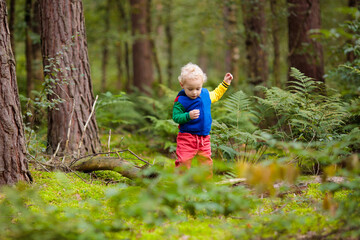 Kids hiking in autumn park