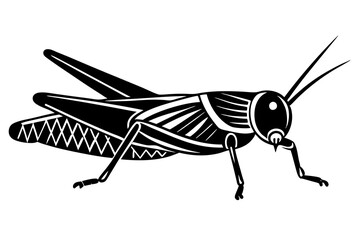 illustration of a grasshopper