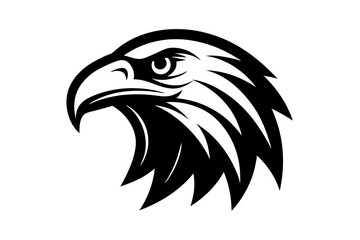 eagle head vector illustration