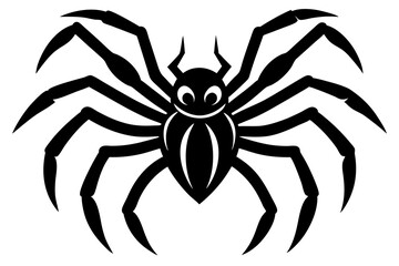 spider on a white background