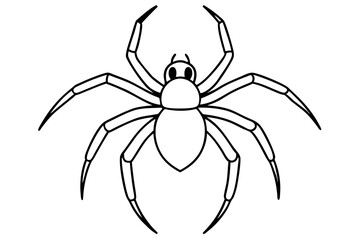 spider isolated on white background