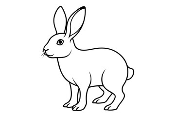 illustration of a rabbit
