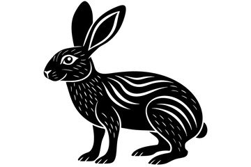 rabbit isolated on white