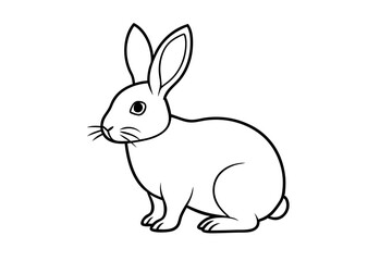 white rabbit isolated on white