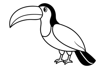 toucan bird on a branch