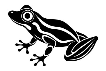 frog on white background