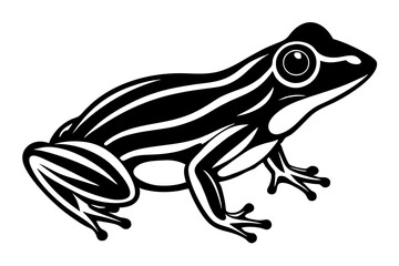 frog on white background