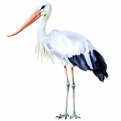 Fototapeta premium Whimsical Stork with Long Legs in Quirky Style