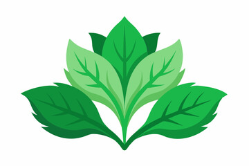 Naklejka premium Amaranth greens Amaranthus spp creative vector design