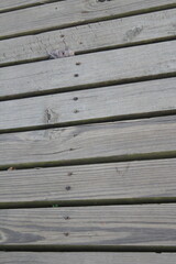 wooden fence background