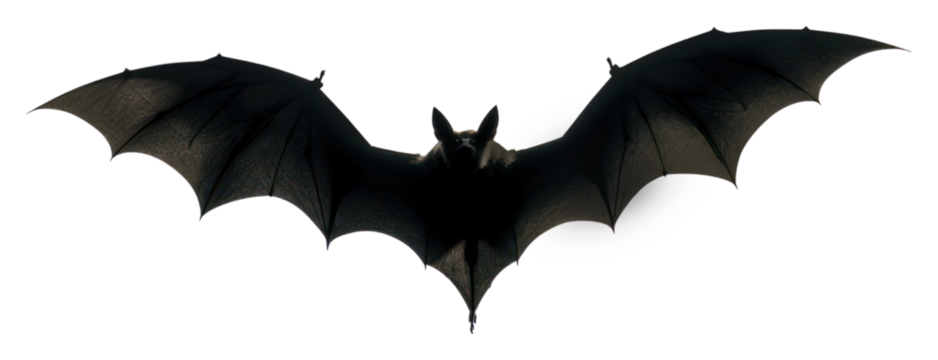 PNG Bat sillouette animal white background silhouette.