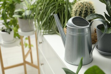Watering can and beautiful houseplants at home