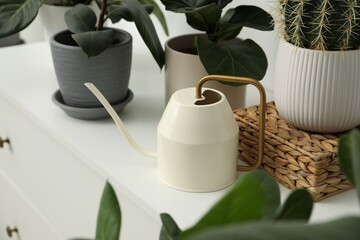 Watering can and beautiful houseplants on chest of drawers indoors