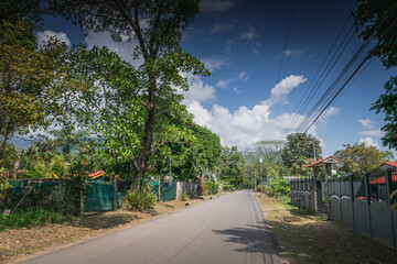 Local road in tropical village