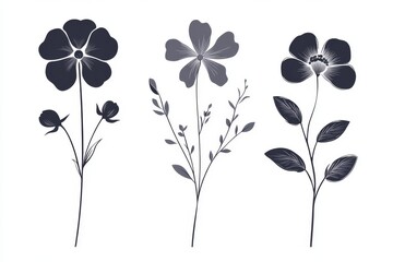 A set of silhouettes showing a beautiful botanical spring flower bouquet tied with a ribbon set on a white background