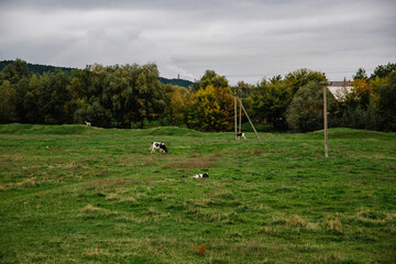 Solonceni village in the Rezina district of the Republic of Moldova