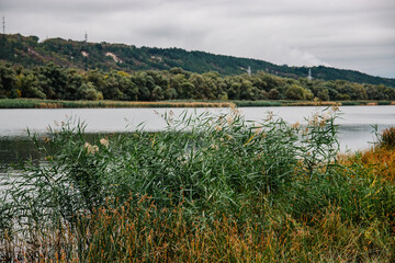 Solonceni village in the Rezina district of the Republic of Moldova