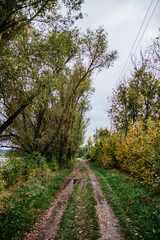 Solonceni village in the Rezina district of the Republic of Moldova