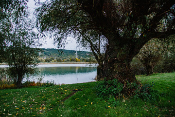 Solonceni village in the Rezina district of the Republic of Moldova