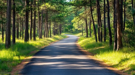 Obraz premium Overgrown Abandoned Road Surrounded by Trees