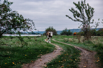 Solonceni village in the Rezina district of the Republic of Moldova