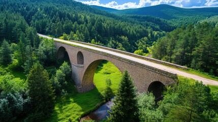 Scenic Old Bridge in a Lush Green Forest