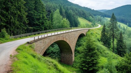 Scenic Old Bridge Over Forested Roadway