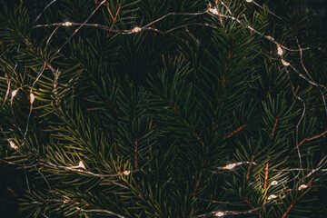 Fir branches background with garlands. Suitable for creating Christmas cards, festive materials, and winter presentations.