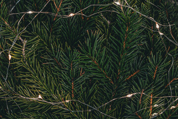Fir branches background with garlands. Suitable for creating Christmas cards, festive materials, and winter presentations.