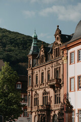 Heidelberg University Building